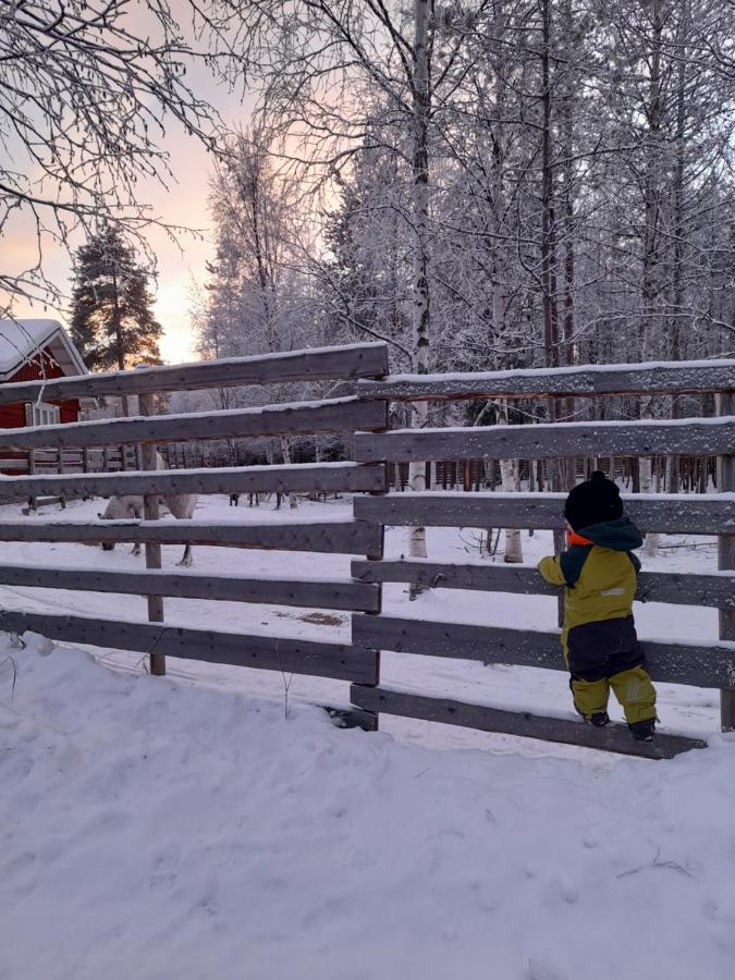 Villa Waeltti Rovaniemi Exterior photo